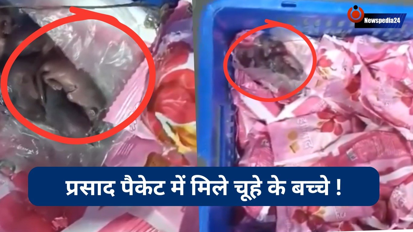 प्रसाद में मास के बाद अब प्रसाद पैकेट में मिले चूहे के बच्चे