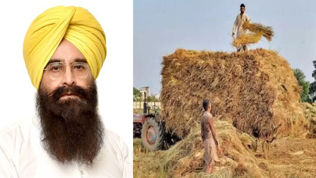 पंजाब सरकार का पराली प्रबंधन में बड़ा कदम: 8,045 नोडल अधिकारियों की नियुक्ति
