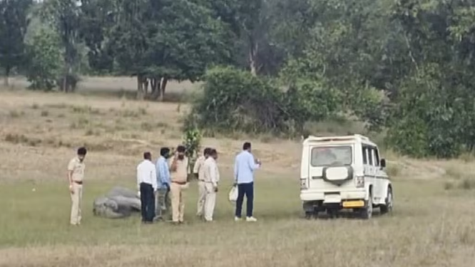 बंदवगढ़ हाथियों की मौत: IFS अधिकारी की लापरवाही से उठी उंगली, क्या बदल पाएगा वन प्रशासन?
