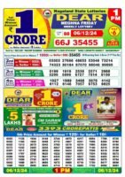 Nagaland State Lottery Result
