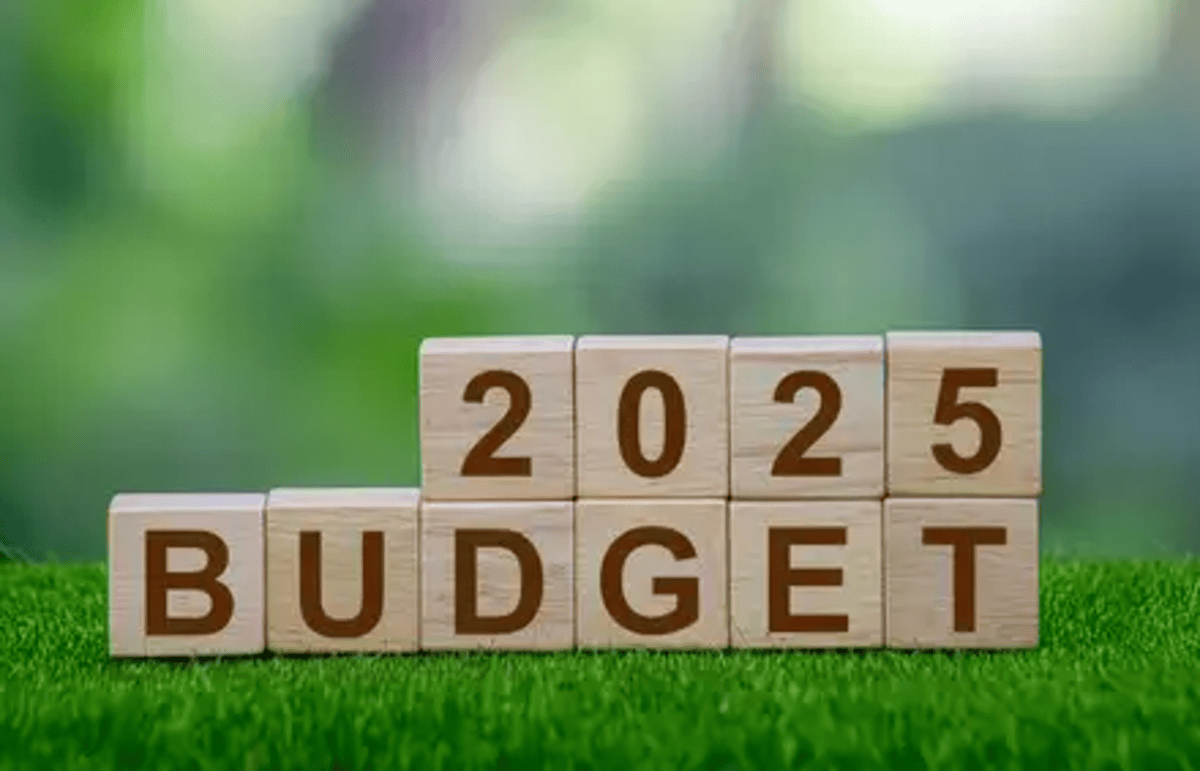 Budget 2025: 1.7 करोड़ किसानों के लिए खुशखबरी, ‘PM धन-धान्य कृषि योजना’ का ऐलान!