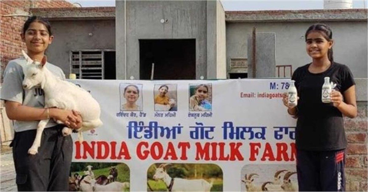 पंजाब की दो नन्हीं उद्यमी बहनों ने खड़ा किया बकरी दूध का साम्राज्य, हर महीने कमा रहीं ₹1.5 लाख!