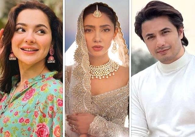भारत में पाकिस्तानी हस्तियों के इंस्टाग्राम अकाउंट फिर से बैन: 24 घंटे में बदला फैसला, फैंस कन्फ्यूज!