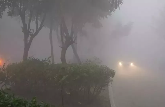 पंजाब में सर्द हवाएं, सुबह-शाम छाया कोहरा