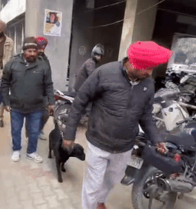 लुधियाना और फतेहगढ़ साहिब कोर्ट को ब/म से उड़ाने की ध/मकी मिली
