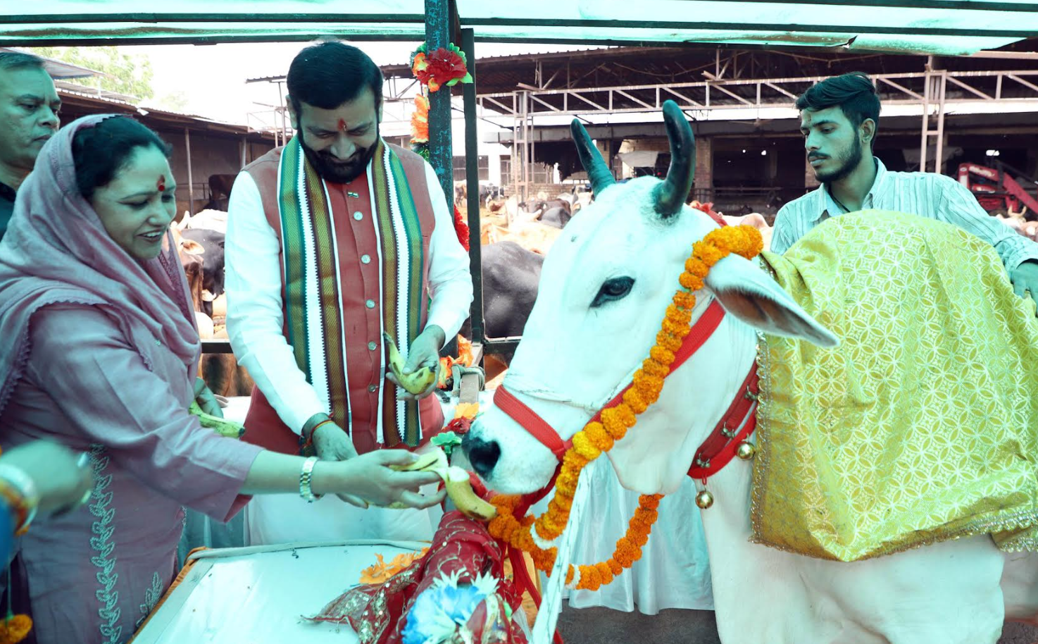 कुरुक्षेत्र में CM सैनी ने किया गौ सेवा कार्यक्रम