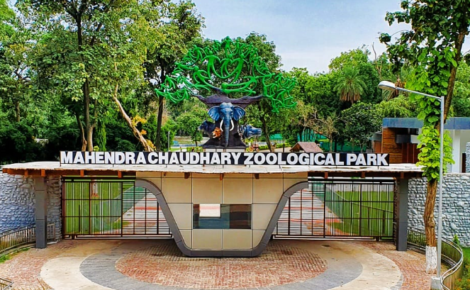 छतबीर महेंद्र चौधरी Zoo में पर्यटकों की संख्या में हुई भारी बढ़ोतरी